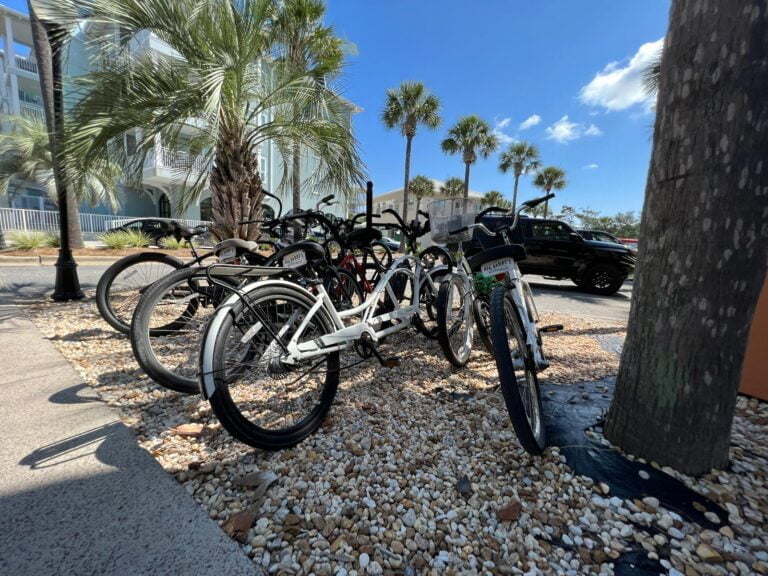 Cycles on the beach